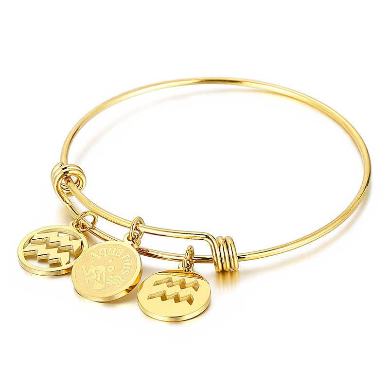 Cosmic Elegance: The Electroplated Titanium Constellation Bracelet