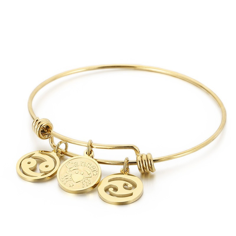Cosmic Elegance: The Electroplated Titanium Constellation Bracelet
