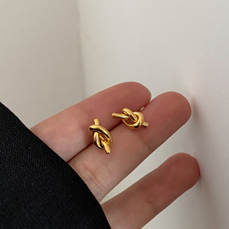 Premium Titanium Steel Light Luxury Earrings